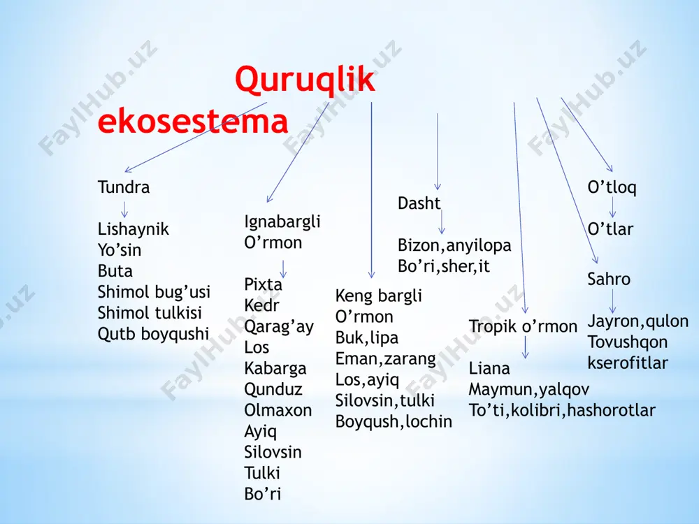 tabiiy ekosestemalar - Page 3
