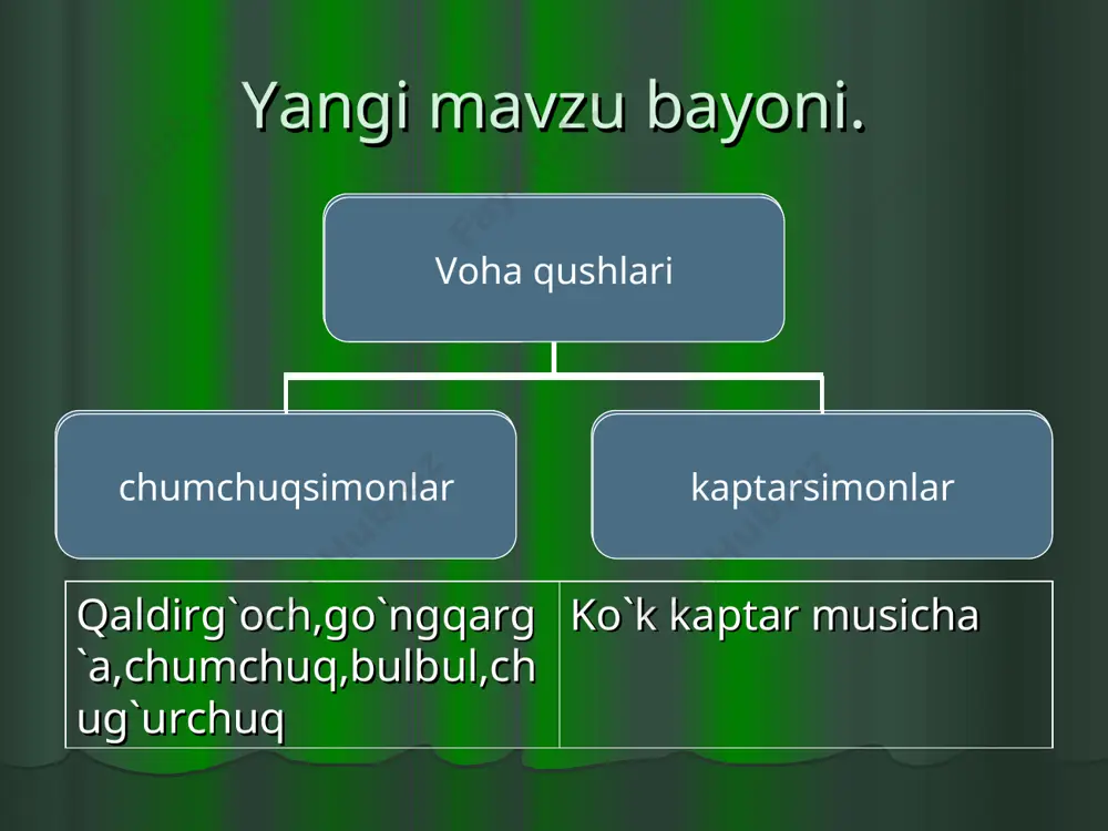 qushlarning xilma-xilligi. voha va cho`l qushlari - Page 3