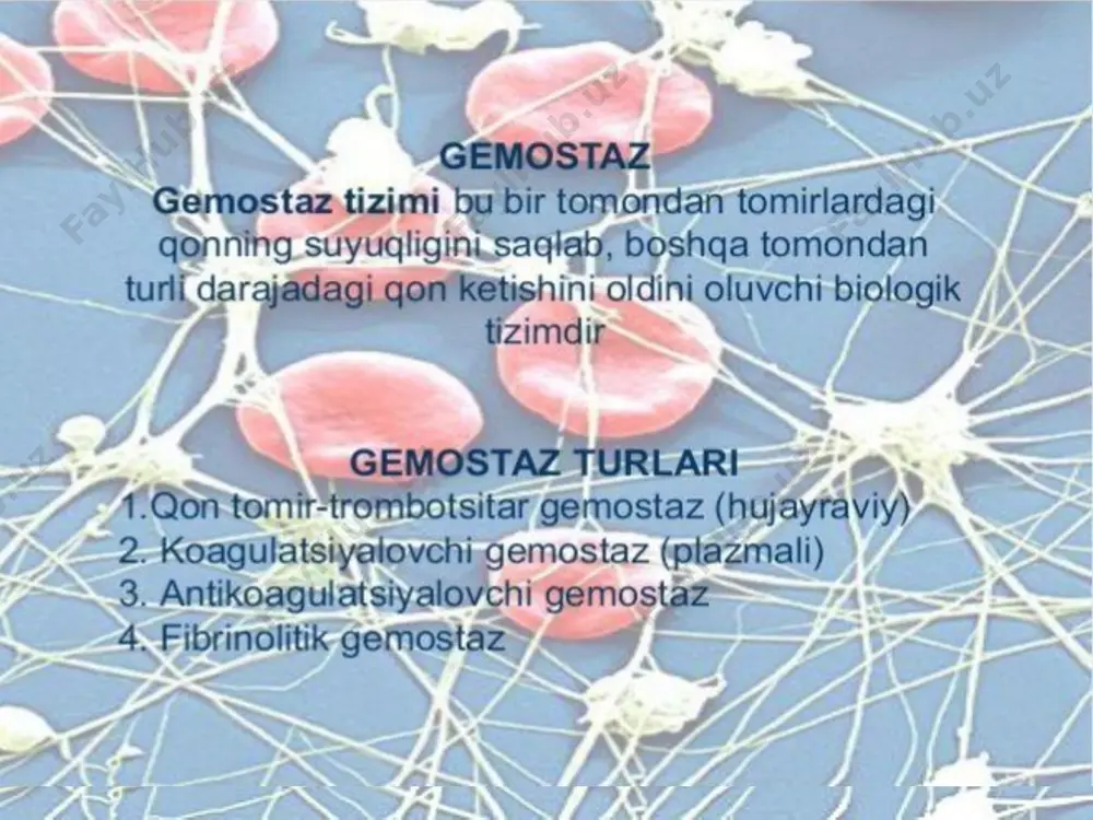 maruza qon ivishi. qon guruhlari. rezus omili - Page 4