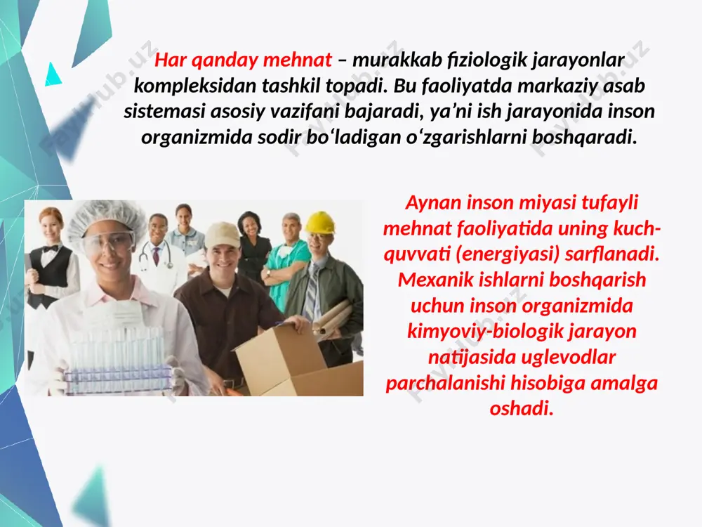 yuqori qiymatga ega bo‘lgan ishlab chiqarish mikroiqlimining gigiyenik me’yorlari, shovqinlar, titrashlar, yoritilganlik, elektr va magnit maydonlari va boshqa ta’sirlar kiradi. zaharli omillarning inson tana a’zolariga o‘z-o‘zidan o‘tishi yoki a’sir etishi va tanada yig‘ilishi natijasilda kasb kasalliklari kelib chiqadi. masalan, ishlab chiqarish changlari pnevmokomioz kasalliklaridan tashqari teri kasalliklarini ham keltirib chiqaradi. xavfli va zararli omillar ta’siridagi zararlar deb, ish unumdorligining pasayishi, zaharlanish va kasb kasalliklarining paydo bo‘lishi, kasallanishning ortib ketishi hamda vaqtinchalik mehnat faoliyatining yo‘qotilishi va boshqa salbiy oqibatlarga olib kelishiga aytiladi. ishlab chiqarish muhitidagi xavfli va zararli omillar 4 guruhga bo‘linadi 4. psixofiziologik. 1. fizikaviy 2. kimyoviy. 3. biologik ishlab chiqarishdagi zararlar deb, ish unumdorligining pasayishi, zaharlanish va kasalliklarning paydo bo‘lishi, kasallanishning ortib ketishi va vaqtinchalik mehnat faoliyatining yo‘qotilishi va boshqa salbiy oqibatlarga olib kelishiga aytiladi. xavfli va zararli omillarning quyidagi turlari mavjud: kimyoviy (zaharli moddalarning paydo bo‘lishi va ularning inson organizmiga salbiy ta’sir ko‘rsatishi). fizikaviy (shovqin, silkinish, va boshqa …