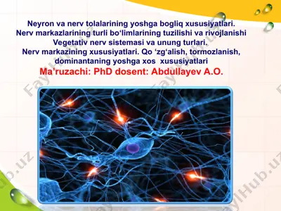 neyrologiya — PPT