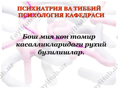 bosh miya kon tomir kasalliklaridagi ruhiy buzilishlar — PPT