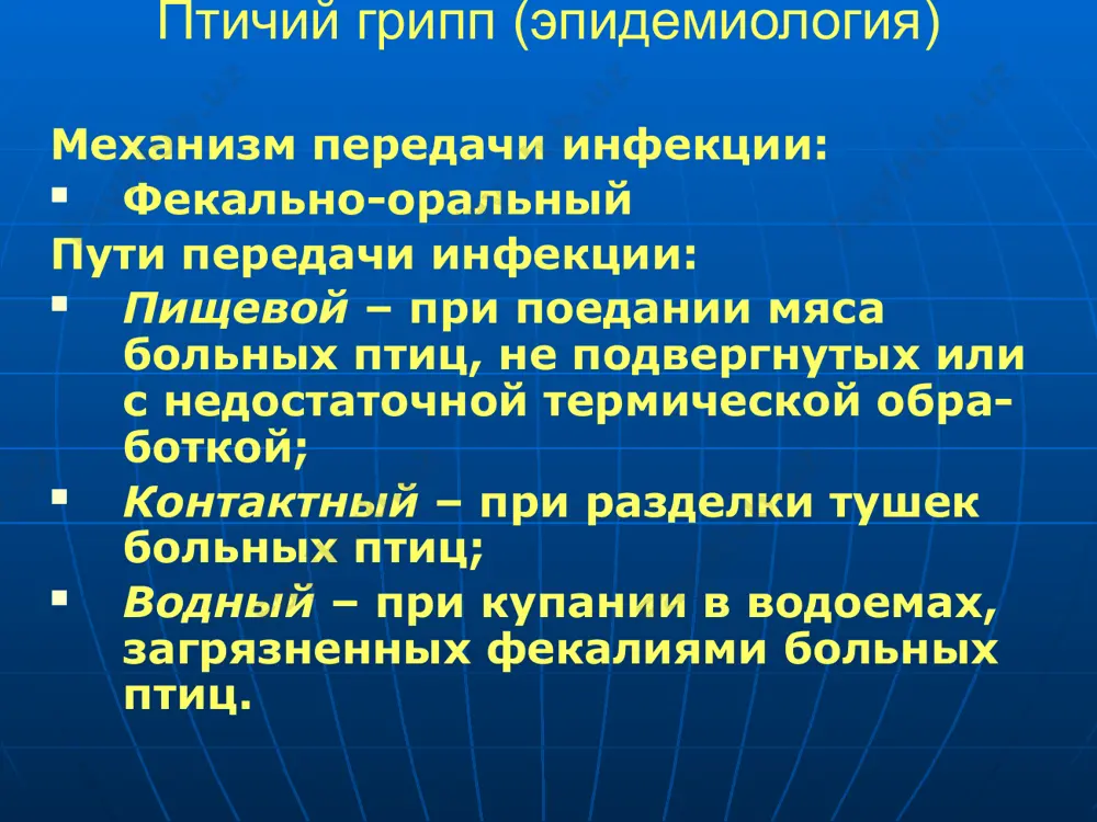 птичий грипп (a/h5n1) - Page 5