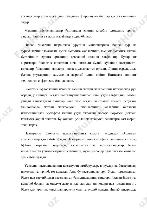 муҳофаза қилиш учун ажратиш масофа нормаси (чеклаш қоидаси) жорий этилган. бу қоидани ўзидан чангланувчи экинларга ҳам жорий этиш керак. навларнинг биологик ифлосланишига уларга тасодифан қўшилган аралашмалар ҳам сабаб бўлади. навларнинг биологик ифлосланишига белгилар бўйича ажралиш ҳодисаси, касалланган ва зараркунандалар билан шикастланган ўсимликларнинг кўпайиши, мутация содир бўлиши каби омиллар ҳам сабаб бўлади. ўсимлик касалликларини қўзғатувчи замбуруғлар, вируслар ва бактериялар ниҳоятда тез урчиб, тез кўпаяди. агар бу касалликлар уруғ билан тарқаладиган бўлса нав таркибидаги касалланган ўсимликларнинг миқдори йилдан-йилга тез кўпайиб боради ва маълум давр ичида экинлар энг юқори нав тозалигига эга бўлса ҳам уруғлик жиҳатдан яроқсиз ҳолатга тушиб қолади. ишлаб чиқаришда касалликларга бу жиҳатдан катта талаб қўйилади. уруғчиликнинг бошланғич даврида уруғларни етиштиришда касалликларни бутунлай йуқотишга ва уларни уруғликлар орқали ишлаб чиқаришда шу нав далаларига тарқалиб кетишига йўл қўймасликни таъминлайдиган, энг самарали воситалардан фойдаланиш лозим. ишлаб чиқаришда экилаётган ҳар қандай навнинг элита уруғи шу навни касалликлар билан зарарланишига йўл қўймайдиган ишончли тўсиқ бўлиши …