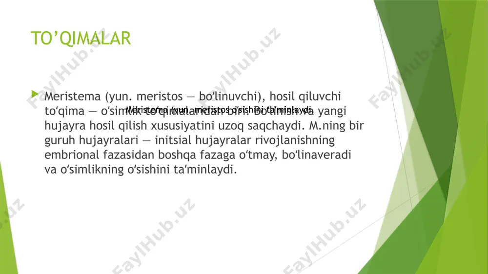 faoliyat yuritib, ularning moslashuvchanligi, yashovchanligi va evolyutsion ustunligini taminlaydi. quyida meristemaning osimlik hayotidagi eng muhim biologik funksiyalari yoritib otiladi. image1.png image2.png image3.png /docprops/thumbnail.jpeg