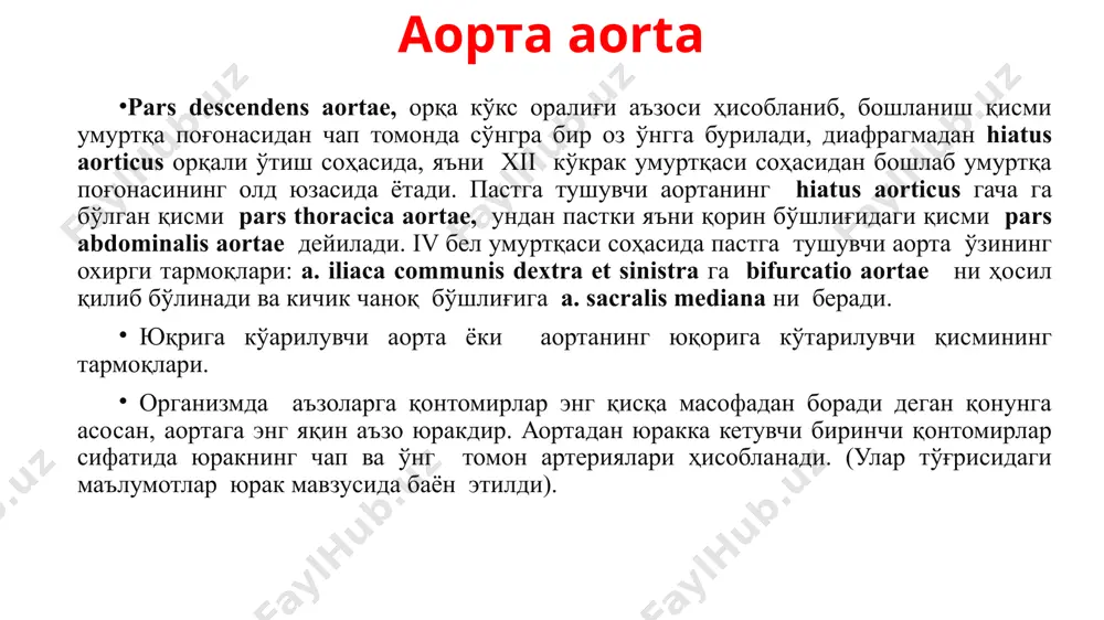кетишини тўхташиш учун умумий уйқу артерияси vi буйин умуртқасидаги tuberculum caroticum га узуксимон тоғай тенглигида босилади. баъзи ҳолларда ташқи ва ички уйқу артериялари аорта ёйидан алоҳида-алоҳида мустақил равишда чиқиши мумкин. умумий уйқу артериясининг узунлиги бўйлаб, атроф тўқималарга, аъзоларга майда тармоқлар чиқади. мисол: қонтомир ва нервларга- vasa vasorum ва vasa nervorum лар. улар коллатерал қон айланишда аҳамиятлидир. ташқи уйқу артерияси ташқи уйқу артерияси a. carotis externa, бўйин ва бош соҳасининг ташқи қисмларини қон билан таъминлайди. шунинг учун ҳам у ташқи уйқу артерияси номини олади. ташқи уйқу артерияси бошланиш жойидан юқорига кўтарилиб, m. digastricus орқа қоринчасининг ва m. stylohyoideus нинг остидан ўтиб, пастки жағ суяги бўйини соҳасида қулоқ олди сўлак безини тешиб ўтади ва ўзининг охирги тармоқларига бўлинади. уларнинг умумий сони 9 та бўлиб, айлани радиуси бўйича жойлашади. бу айлана радиус бош соҳасига мос келади. ташқи уйқу артерияси тармоқлари 3 гурухга бўлиниши мумкин: олдинги, ўрта ва орқа гурухларга. ҳар бир гурух ўзида …