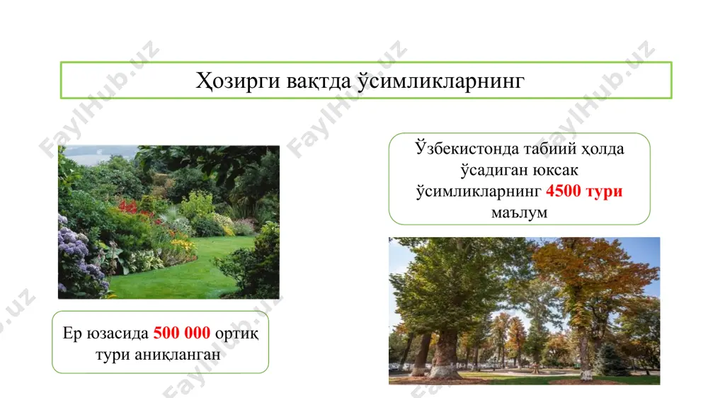 линади. амалий машғулот учун топшириқ дарахтлар номлари расми инфаграфикаси буталар номлари расми инфаграфикаси ярим буталар номлари расми инфаграфикаси бирйиллик номлари расми инфаграфикаси иккийиллик номлари расми инфаграфикаси кўпйиллик номлари расми инфаграфикаси дарахтлар- битта йўғон ёғочлашган танали, бақувват илдизли ва кенг шоҳ-шаббали баланд бўйли кўп йиллик ўсимликлардир. амалий топшириқ? мевали ва манзарли дарахтларни ўқувчиларга тушунтириш учун ностандарт усуллардан фойдаланиш методикасини ишлаб чиқиш буталар – бир неча ёғочлашган поя – танага эга бўлган кўп йиллик ўсимликлардир. буталар тўғрисида ўқувчиларда кўникма ҳосил қилиш учун график органейзеларидан фойдаланиб методика ишлаб чиқинг? буларга – анор, лимон, наъматак, настирин, бодомча ва бошқалар қиради яримбуталар- поясининг пастки қисми ёғочлашган, юқори яшил қисмини қишда совуқ уриб кетадиган кўп йиллик ўсимликлардир. чўлларда тарқалаган – изен, терезкен, сарсазан, ва шувоқлар киради. яримбуталар ҳақида қизиқарли илмий маълумотлар тўплаш? кўп йиллик ўтлар- ер усти қисми қишда қуриб, ўсиш куртаклари қишлайдиган ўсимликлар. буларга: беда, ажриқ, ғумай, сачиратқи, кийиккўт, лола, қамиш, ялпиз, гулсафсар ва бошқалар …