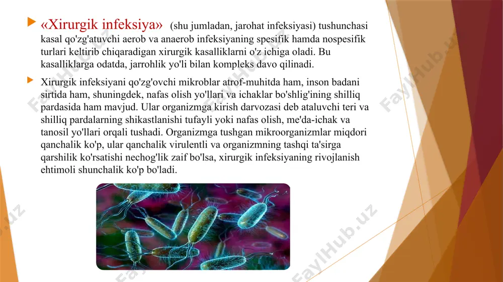 hga, shuningdek mahalliy yallig'lanish jarayonlariga davo qilishga va organizmning himoya kuchini mustahkamlashga qaratilishi lozim. jarrohlik asboblari: jarrohlik nipperslari buyalskiy spatulasi turli organlar va to'qimalarni orqaga surish va ajratish uchun. e’tiboringiz uchun raxmat! image1.tmp image2.tmp image3.tmp image4.tmp image5.tmp image6.tmp image7.tmp image8.tmp /docprops/thumbnail.jpeg