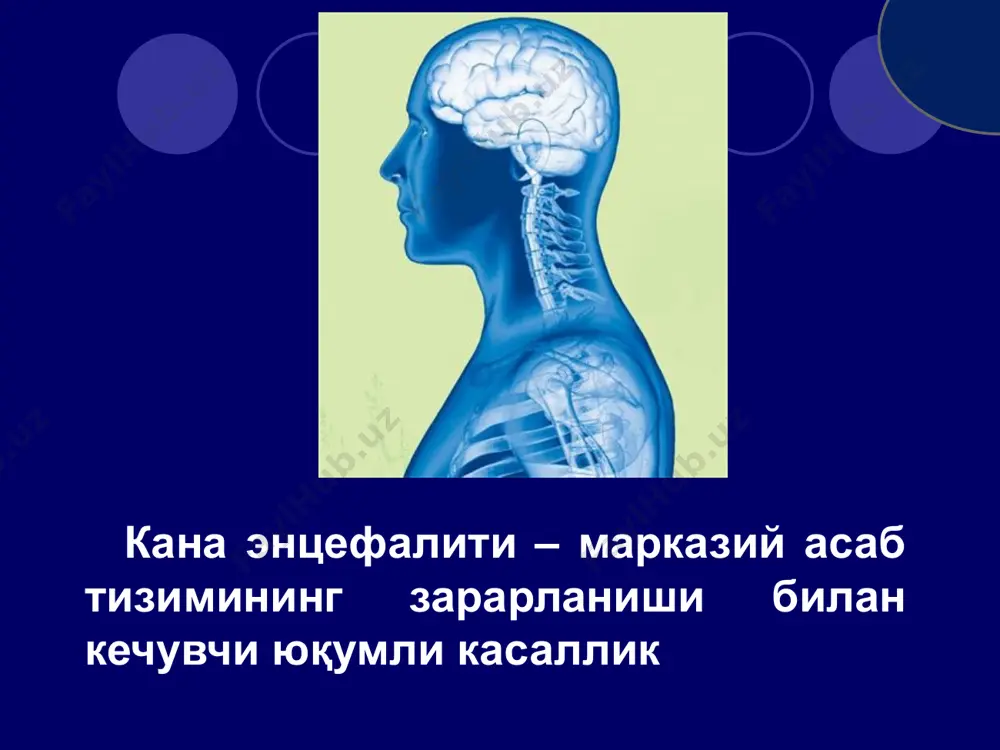 фекции людям. этиологияси вирусларнинг хусусиятлари: таркибида рнк занжирини тутади ташқи муҳитда чидамсиз юқори ҳарорат, ультрабинафша нурлар, дез.эритмалар таъсирига сезгир озиқ маҳсулотларида узоқ сақланиши мумкин: сутда 20c-40c ҳароратда 2 ҳафтагача, қаймоқда эса 2 ойгача ўз хусусиятларини йўқотмайди ошқозоннинг кислотали муҳитига чидамли три подтипа вкэ описаны (распространены) географически, так как они встречаются в различных регионах европы и россии (азии), хотя частично их ареалы наслаиваются. европейский подтип известен как центрально европейский энцефалит (цeэ). он передается в основном клещами вида ixodes ricinus, и имеет более низкий уровень летальности - 1 to 2%. дальне-восточный подтип известный также как дальне-восточный энцефалит или русский весенне-летний энцефалит, или рвлэ, и третий подтип - сибирский который вызывает западно- сибирский энцефалит. они передается в основном различными видами иксодовых клещей вида, ixodes persulcatus, и уровень летальности выше - от 5 дo 20%. другие виды клещей также обнаруживались инфицированными вирусом, но эти 2 вида ответственны за подавляющее большинство случаев передачи инфекции людям. …