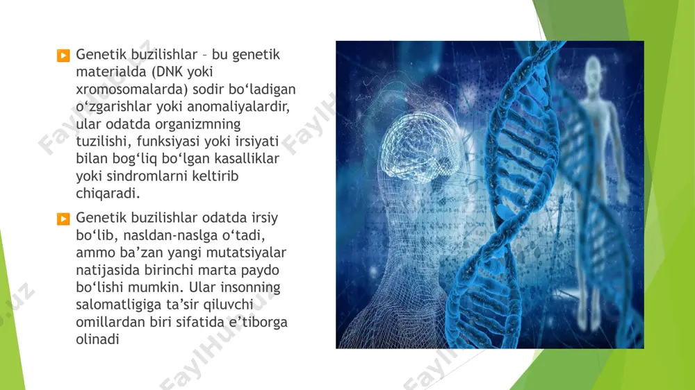 lalarda ma’lum bir darajada irsiy moyillik kuzatiladi. *°r*.^i anemiy»si ß talassemiya orqa miya doshüflarining atrofiyasi kistik hbroz e’tiboringiz uchun rahmat image1.jpg image2.jpg image3.jpg image4.jpg image5.jpg image6.jpg image7.png image8.jpg
