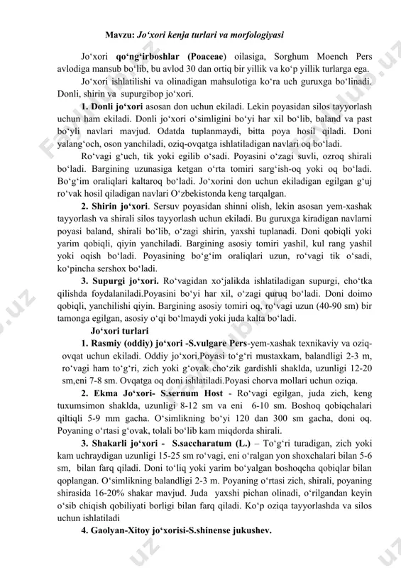xkam, balandligi 2-3 m, ro‘vagi ham to‘g‘ri, zich yoki g‘ovak cho‘zik gardishli shaklda, uzunligi 12-20 sm,eni 7-8 sm. ovqatga oq doni ishlatiladi.poyasi chorva mollari uchun oziqa. 2. ekma jo‘xori- s.sernum host - ro‘vagi egilgan, juda zich, keng tuxumsimon shaklda, uzunligi 8-12 sm va eni 6-10 sm. boshoq qobiqchalari qiltiqli 5-9 mm gacha. o‘simlikning bo‘yi 120 dan 300 sm gacha, doni oq. poyaning o‘rtasi g‘ovak, tolali bo‘lib kam miqdorda shirali. 3. shakarli jo‘xori - s.saccharatum (l.) – to‘g‘ri turadigan, zich yoki kam uchraydigan uzunligi 15-25 sm ro‘vagi, eni o‘ralgan yon shoxchalari bilan 5-6 sm, bilan farq qiladi. doni to‘liq yoki yarim bo‘yalgan boshoqcha qobiqlar bilan qoplangan. o‘simlikning balandligi 2-3 m. poyaning o‘rtasi zich, shirali, poyaning shirasida 16-20% shakar mavjud. juda yaxshi pichan olinadi, o‘rilgandan keyin o‘sib chiqish qobiliyati borligi bilan farq qiladi. ko‘p oziqa tayyorlashda va silos uchun ishlatiladi 4. gaolyan-xitoy jo‘xorisi-s.shinense jukushev. 5. sudan o‘ti-s.sudanense.pers.- yem-xashak ekini sifatida ekiladi. poyasi …