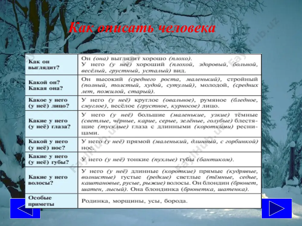 как описать внешний вид человека. 6 -sinf - Page 4