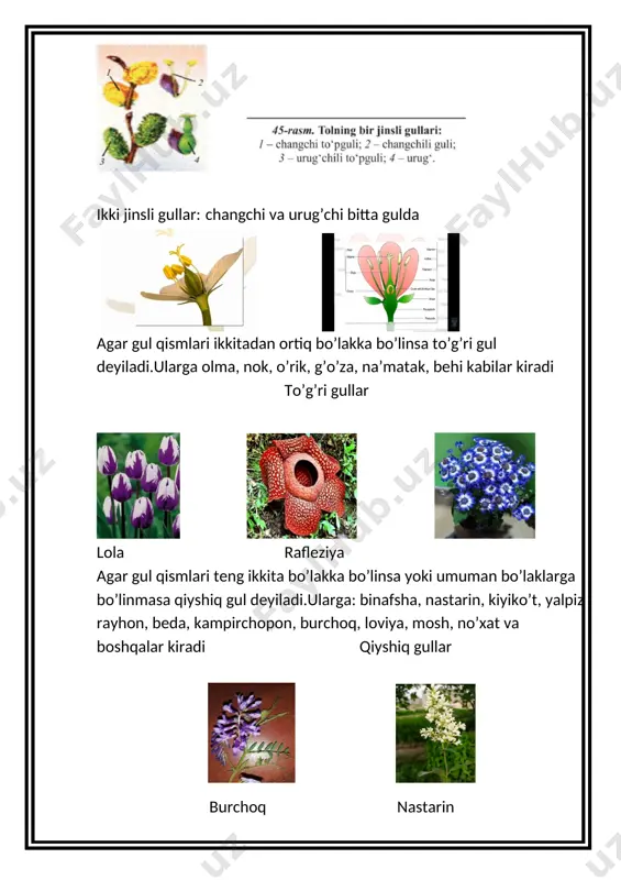 gullarning xilma - xilligi dars ishlanmasi - Page 4