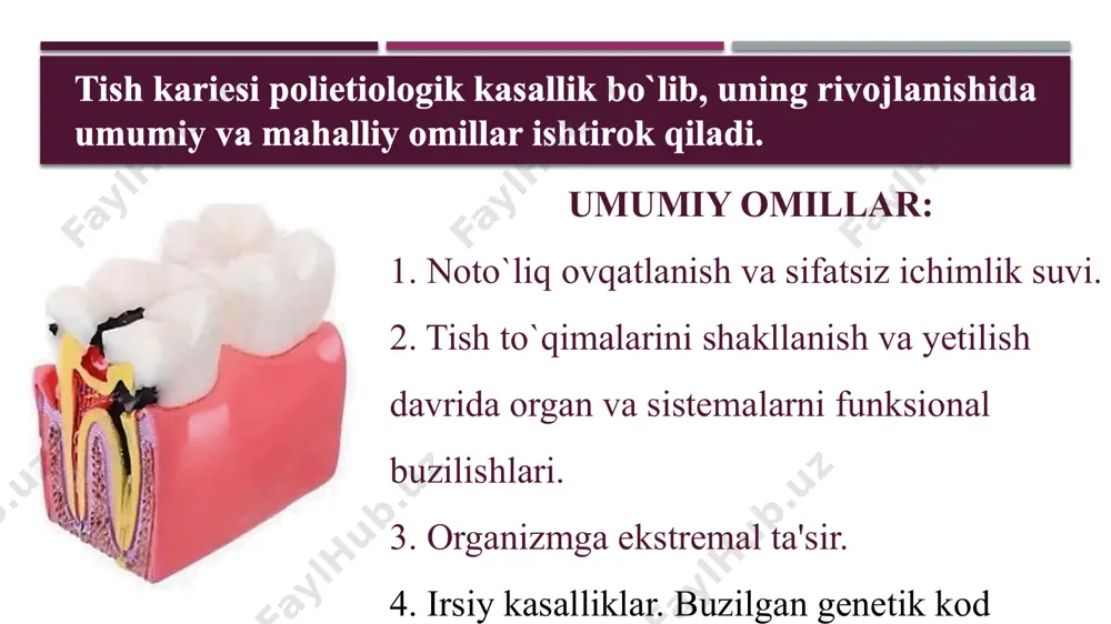 i tekshirishlar shuni ko`rsatadiki, kariesni tarqalishi baland bo`lgan regionlarda, tishda kariesi mavjud bo`lmagan kishilar ham uchraydi. shuningdek, kariesni tarqalishi o`rtacha miqdordagi regionlarda yuqori darajada kariesga uchragan kishilar ham aniqlanadi. ular kariesga moyilligi bor guruhga kiritiladi. tez-tez va ko`p miqdorda uglevodlarni iste'mol qilish, og’iz bo`shlig’i gigienasining pastligi kariesogen mikroorganizmlarni tishpellikulasiga maxkam biriktiradi va tish karashini hosil qiladi. yopishqoq moddalar iste'mol qilganda, ular tishlarning retension nuqtalarida to`planadi, (fissuralar, chuqurchalar, kontakt yuzalar, plomba va protez yuzalari) natijada chirish va bijg’ish jarayoni boshlanadi. tish karashini hosil bo`lishiga quyidagilar ta’sir qiladi: 1. tishning anatomik tuzilishi va uning atrof to`qimalar bilan o`zaro aloqasi; 2. ovqat ratsioni va chaynash intensivligi; 3. so`lak va milk suyuqligi; 4. og’iz bo`shlig’i gigienasi; 5. og’iz bo`shlig’idagi plomba va protezlar miqdori; 6. tish-jag’ anomaliyalari. yumshoq tish karashi siyrak strukturaga ega bo`lib, so`lak va suyuq ovqat qoldiqlarini ushlanib qolishiga sharoit yaratib beradi. bu yumshoq amorf modda bo`lib, tish yuzasiga zich birikib turadi. mikroorganizmlar …