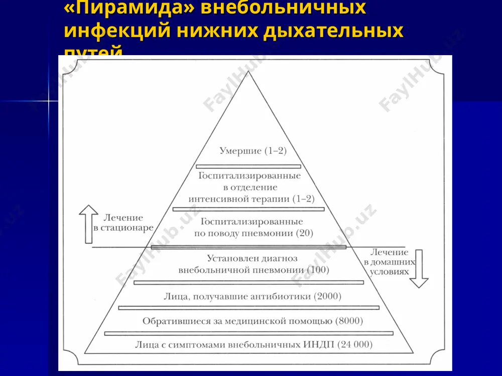 ая лихорадка в начале заболевания (> 38'с) • кашель с мокротой • физические признаки (фокус крепитации и/или мелкопузырчатые хрипы, жесткое, бронхиальное дыхание, укорочение перкуторного звука) • лейкоцитоз и/или палочкоядерный сдвиг (>10%) клинические и рентгенологиеские симптомы и признаки в большинстве случаев, основываясь на анализе клинико-ренгенологической картины заболевания, не удается с определенностью высказаться о вероятной этиологии вп в частности, разделение вп на «типичную» (например, пневмококковую) и «атипичную» (микоплазменную или хламидийную) лишено особого клинического значения такие признаки вп, как остролихорадочное начало, боли в груди и т.д. могут отсутствовать, особенно у ослабленных больных и у лиц пожилого возраста выделение гемокультуры положительный результат – до 10%случаев - из них s.pneumoniae – до 60% - на фоне приема антибиотиков высеваемость снижается более чем в 2 раза - у пациентов с тяжелой пневмонией высеваемость существенно возрастает –до 31% - результаты вызвали изменение тактики лечения у 7 из 517 пациентов у 7 из 1350 пациентов серологические методы возможна …