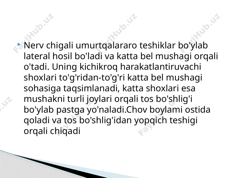 novdalar paydo boʻlgan tekislangan tasma hosil qiladi. guruhning oʻzi siyatik asab sifatida davom ettirilib, u sonning orqa qismida tibial asab va umumiy fibular asabga boʻlinadi; bu ikki nerv baʼzan pleksusdan alohida paydo boʻladi va barcha holatlarda ularning mustaqilligini disektsiya orqali koʻrsatish mumkin. koʻpincha sakral pleksus va lomber pleksus bitta deb hisoblanadi katta nerv chigalini hosil qiladi. bel-dumgʻaza magistral ikkita nerv chigalini birlashtirib turadi. image5.png image6.png image7.png image8.jpeg image2.jpeg /docprops/thumbnail.jpeg