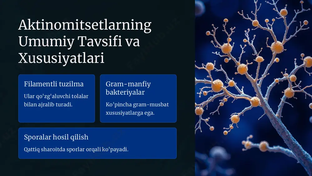 oya qilishda foydalaniladi. biogumavchilar zararlangan o'simliklarni uchun foydali mikroorganizmlar. o'simlik o'sishini rag'batlantirish tuproqdagi oziqa moddalarni oshirish orqali hosilni ko'paytiradi. https://gamma.app/?utm_source=made-with-gamma preencoded.png aktinomitsetlarning sanoatda qo'llanilishi enzim ishlab chiqarish laktoza, cellulaza va boshqa fermentlar ishlab chiqariladi. organik kislotalar fermentatsiya jarayonida ko'p turdagi kislotalar olinadi. bioplastiklar atrof-muhitga zarar yetkazmaydigan mahsulotlar ishlab chiqariladi. https://gamma.app/?utm_source=made-with-gamma preencoded.png aktinomitsetlarning o'rganilish tarixi va zamonaviy tadqiqotlar 1 xx asr boshlanishi aktinomitsetlar ilk bor aniqlanib, antibiotiklar ishlab chiqildi. 2 2000-yillar genomika yordamida turlar va funktsiyalar chuqur o'rganildi. 3 zamonaviy davr klonlash va biotexnologiya bilan yangi mahsulotlar yaratilmoqda. https://gamma.app/?utm_source=made-with-gamma preencoded.png xulosa va kelajakdagi istiqbollar 1 biotexnologiyada yangi yutuqlar yangi antibiotik va bioaktiv moddalar yaratish. 2 eko-dostlik rivojlantirish qishloq xo'jaligi va sanoatda tabiiy vositalarni kengaytirish. 3 global sog'liqni saqlashga hissa yangi dori vositalari bilan infeksiyalarni nazorat qilish. https://gamma.app/?utm_source=made-with-gamma slide 1 slide 2 slide 3 slide 4 slide 5 slide 6 slide 7 slide 8 slide 9 slide 10