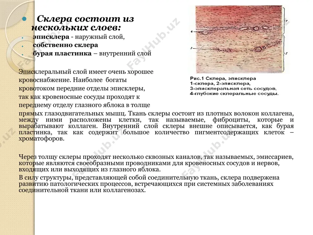 жённого глаза и глазного дна. для представления полной картины воспаления, врач должен выяснить возможные причины, длительность и интенсивность проявления симптомов, а также исключить другие похожие болезни глаз, такие как эписклерит и конъюнктивит. для этого проводится лабораторное исследование крови и глазной жидкости повреждённого глаза пациента. для точного подтверждения диагноза проводят: офтальмоскопию; щелевую биомикроскопию; мрт; кт глаза; узи глазного яблока; измерение глазного давления. кроме этого, может потребоваться консультация аллерголога, но только в том случае, когда причиной склерита служит аллергическая реакция. лечение: необходимо выявить основное заболевание, осложнением которого стал воспалительный процесс в склере и назначить его лечение. местно применяют кортикостероиды (капли дексапос, максидекс, офтандексаметазон или мазь гидрокортизон-пос), нестероидные противовоспалительные средства в виде капель (наклоф), циклоспорин (циклолип). нестероидные противовоспалительные средства (индометацин, диклофенак) принимают также внутрь. при некротизирующем склерите, рассматриваемом как глазное проявление системных заболеваний, необходима иммуносупрессивная терапия (кортикостероиды, циклоспорин, циклофосфамид). если развился гнойный процесс с возникновением абсцесса, абсцесс вскрывают и полость его дренируют. склерокератит(склерозирующий …
