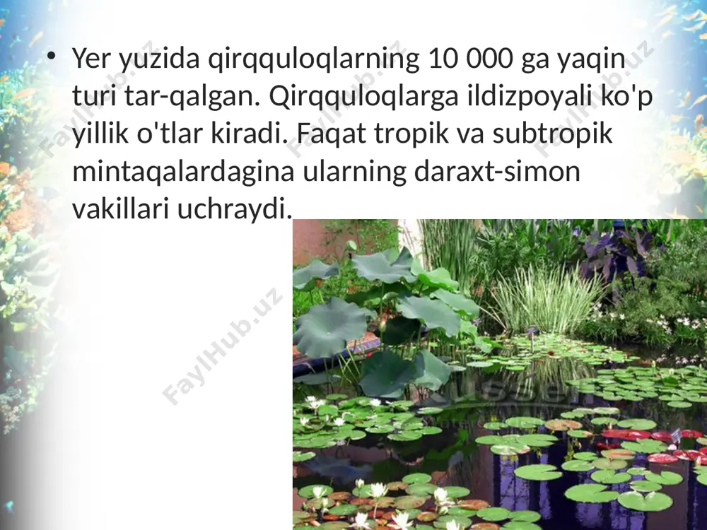 qirqquloqlar bo'limi. 6 - sinf - Page 3