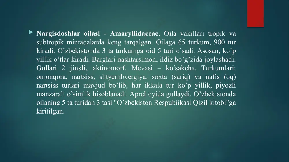 m),oq sh. (c. album), dumbul sh. (c. murale) va boshqalar turlari tarqalgan. boʻyi 10—100 sm, barglari bandli, uchburchak yoki tuxumsimon, gʻubor bilan qoplangan. gullari roʻvaksimon toʻpgulga yigʻilgan. may — sentyabrda gullab urugʻlaydi. urugʻidan koʻpayadi. oʻzbekistonda sh. bahorgi begona oʻt sifatida deyarli barcha maydonlarda uchraydi. zubturum (plantago) — zubturumdoshlar oilasiga mansub 1—2 va koʻp yillik oʻtlar turkumi. 260 tacha turi maʼlum. oʻzbekistonda 6 turi uchraydi. 4 turidan dorivor oʻsimlik sifatida foydalaniladi. barglari ildiz boʻgʻzida toʻp boʻlib joylashgan, bandli, keng tuxumsimon yoki keng ellipssimon, nashtarsimon va tasmasimon. gullari poya va shoxlari uchida oddiy boshoq hosil qiladi. me-vasi ikki yoki koʻp urugʻli. bargi va urugʻi tarkibida s va k vitamin, karotin, shilimshiq oshlovchi va b. mod-dalar bor. bargidan tayyorlangan damlama meʼda-ichak kasalliklarini, yaralarni davolashda, urugʻining shilimshiq eritmasi esa kuchsiz surgi sifatida ishlatiladi otquloq (rumex) — torondoshlar oilasiga mansub bir va koʻp yillik oʻsimliklar turkumi. oʻzbekistonda 16 turi mavjud. shulardan ekma. otquloq, shovul, jingalak …