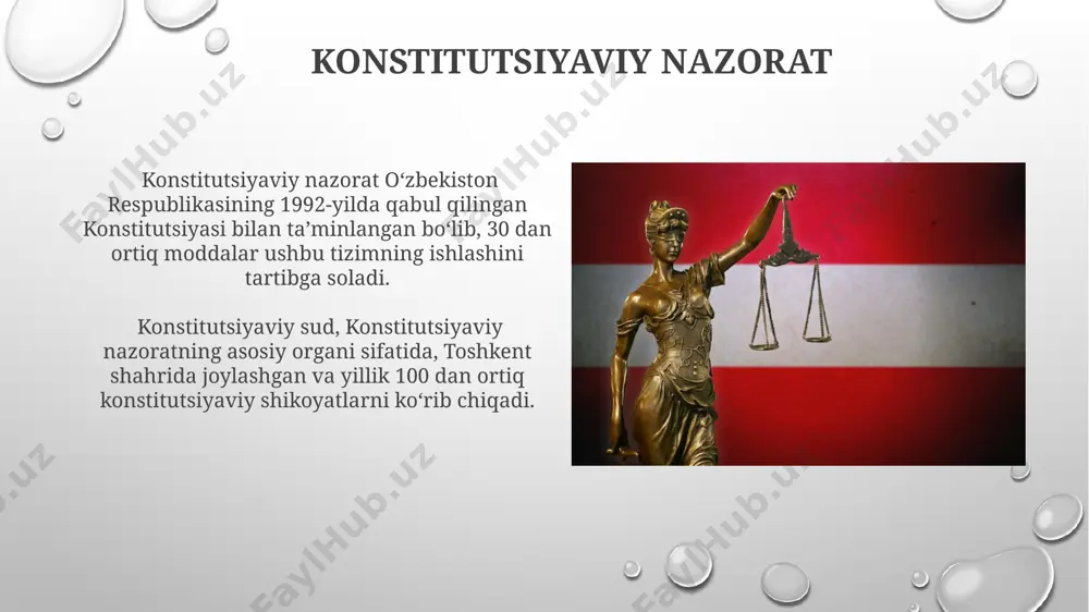 konstitutsiya va qonunning ustunligi - Page 4