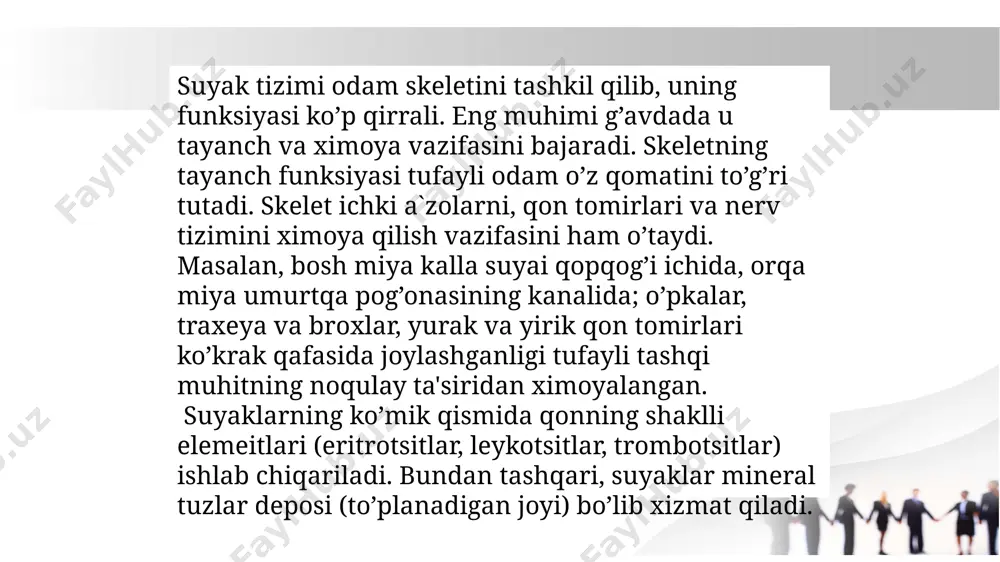 nadi. agar suyakka aylanish nuqtalari mezenxima to‘qimasidan hosil bo‘lib, bundan to‘g‘ri suyak rivojlansa, birlamchi suyakka aylanish deyiladi. masalan, miya qutisining ba’zi bir suyaklari ana shunday rivojlanadi. ba’zi suyaklar tog‘ay hujayralaridan rivojlanadi, bunga ikkilamchi suyakka aylanish deyiladi. • masalan, uzun naysimon suyaklar diafizi tog‘ay ustligi tagidagi tog‘ay hujayralaridan rivojlana boshlaydi. bunda suyak osteoblast hujayralari hisobiga o‘sib boradi. bunday tipdagi suyakka aylanish perexondral suyakka aylanish deb ataladi. 1-kalla; 2-ustun vertebralis; 3-klavikula; 4-yelka; 5-sternum; 6-yelka; 7-reyka; 8-tirsak; 9-bilak suyaklari; 10-suyaklar metacarpi; 11-barmoqlar qo'llarning pha-langlari; 12-os kalta; 13-os dumg'aza; 14-symphisis pubica; 15-osfemoris; 16-plastinka; 17-quvur; 18-toka; 19-suyaklar metatarsi; 20-suyaklar tarsi; 21-oyoq barmoqlarining falangalari; 22-kosiy (ko'krak qafasining tuzilishi) 1-kalla; 2-ustun vertebralis; 3-yelka; 4-yelka; 5-tirsak; 6-reyka; 7-bilak suyaklari; 8-suyaklar metakarpi; 9-barmoqlarning falangalari qo'llar; 10-os kalta; 11-son suyagi; i2-quvur; i3-tokka; 14-oyoq suyaklari; 15-suyaklar tarsi; 16-suyaklar metatarsi; 17-oyoq barmoqlarining falangalari; i8-os dumg'aza; i9-costae (ko'krak qafasining tuzilishi). image2.png image3.png image4.png image5.jpeg image6.jpeg image1.jpeg /docprops/thumbnail.jpeg