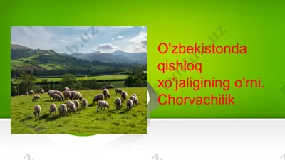 o'zbekistonda qishloq xo'jaligining o'rni. chorvachilik — PPTX