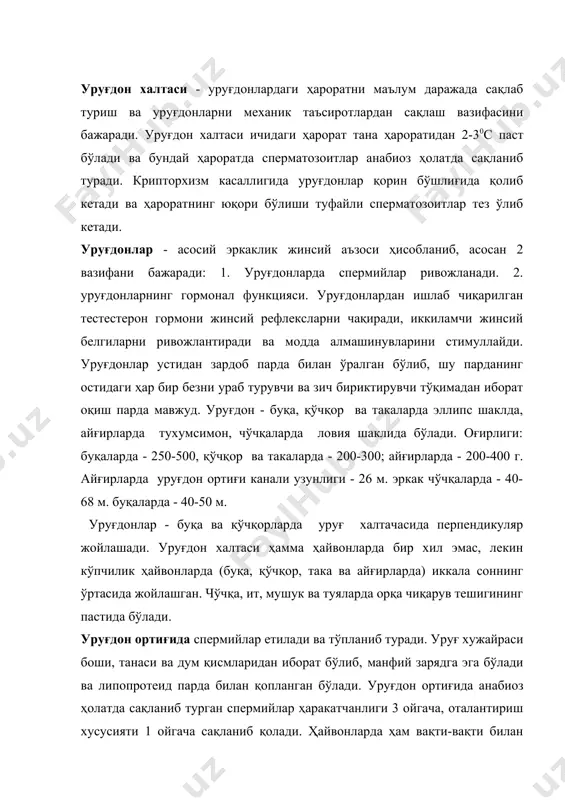 тириш хусусияти 1 ойгача сақланиб қолади. ҳайвонларда ҳам вақти-вақти билан фолуция рефлекси кузатилиб, сперма ташқарига чиқарилиб турилади. уруғдон ортиғида кислотали муҳит, қон ва лимфа томирлари билан яхши таъминланган, липопротеид парда билан уралганлиги учун сперматозоидлар учун қўлай шарт-шароитлар ҳисобланади. уруғ йўллари - уруғни ташиш вазифасини бажаради, эрекция пайтида спермиялар уруғ йўлининг ампуласимон кенгайган жойида тўпланиб туради ва жинсий алоқа пайтида урғочи ҳайвон қинига чиқарилади. уруғ йўллари жуфт бўлиб, уруғдон ортиғи каналининг давоми ҳисобланади. уруғ йўллари қовуқ устидан ута туриб, сийдик-таносил каналига туташиш олдидан бир оз кенгаяди. бу кенгайган жойга уруғ йўлларининг ампуласи дейилади. ампуланинг деворида махсус безлар жойлашган бўлиб, улар ишлаб чиқарган секрет ҳайвон жуфтлашган (жинсий акт) пайтда сперматозоидлар билан аралашади. жинсий-сийдик канали - бу каналга учта қўшимча жинсий безлар йўллари очилади: 1. пуфаксимон безлар; 2. простата безлари; 3. пиёзсимон безлар. қўшимча жинсий безлар ажратган секретлар жинсий-сийдик каналини тозалайди, спермани суюлтиради ва ҳаракатини стимуллайди. биринчи навбатда пиёзсимон без секрет ажратиб, канални …
