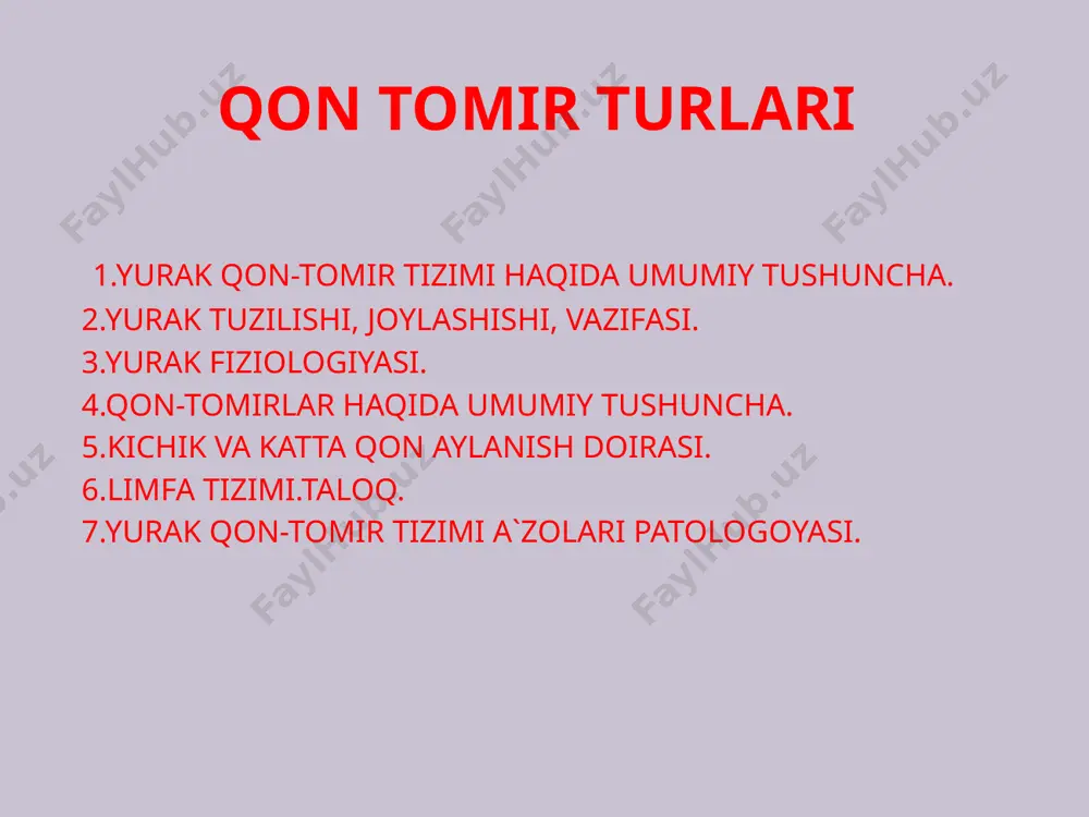qon tomir turlari - Page 2