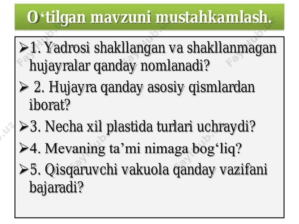 piyoz po‘sti hujayrasining tuzilishini mikroskopda o'rganish - Page 2