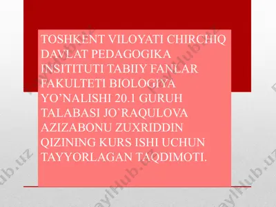 timsohlar haqida taqdimot — PPT