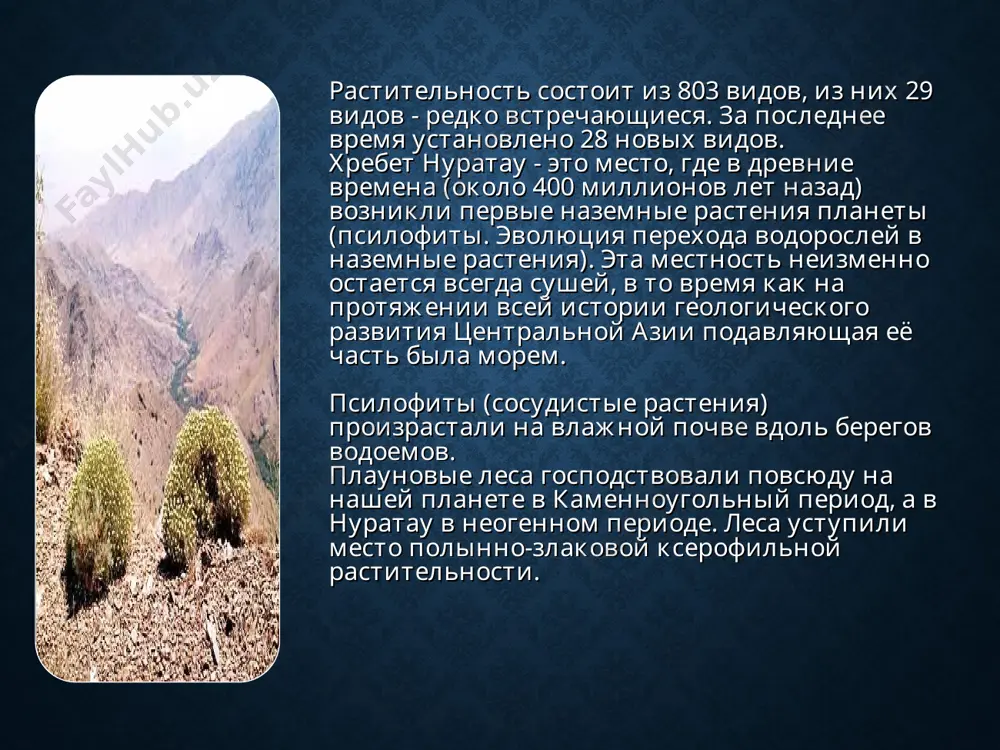 . площадь заповедника 263 176. его диковинка соболь, нерп и др. воронежский заповедник был основан в 1927 г. на стыке двух областей липецкой и воронежской. его площадь 31 тыс. га. его гордость – это бобры. астраханский заповедник основан в 1919 г. недалеко от астрахани. его площадь 62 423 га. его гордость птицы. их насчитывается более 250 видов. кандалашский заповедник основан в 1939 г. находится в мурманской области у полярного круга его задача охрана морских птиц. гага(морская утка) – основное богатство заповедника. ильменский государственный заповедник ильменский государственный заповедник образован по декрету в. и. ленина 14 мая 1920 г. по своей площади (30,4 тыс. га) он занимает 34-е место среди заповедников страны. «аркаим» в 1987 году в долине реки большая караганда археологи обнаружили – городище аркаим, поразившее с воей архитектурой. в 1991 г. территория объявлена – заповедником. в музее-заповеднике «аркаим» обитают редкие звери и птицы, занесённые в красную книгу. стая журавлей красавок …
