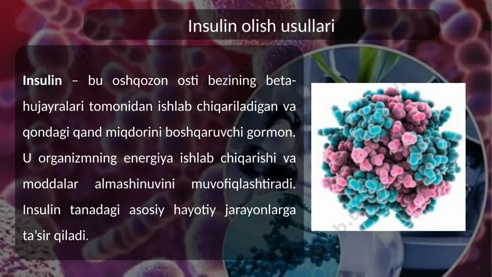 gormon preparatlarini olish texnologiyasi, insulin gormoni - Page 4