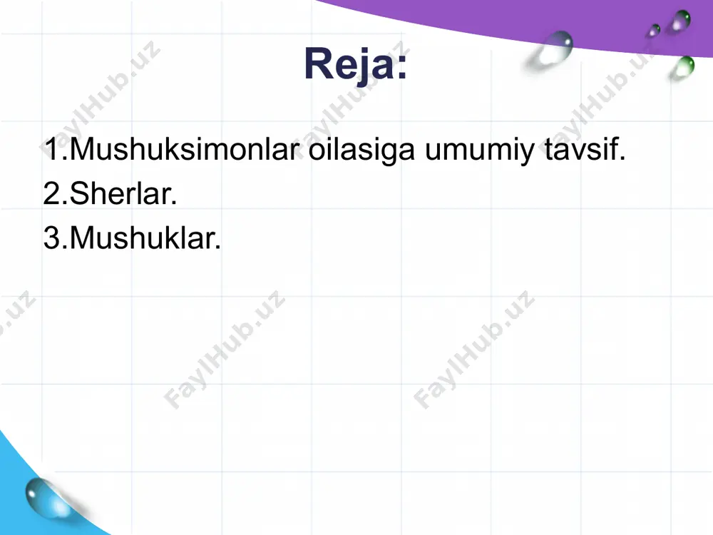 yil oldin va salib yurishlari paytida falastindan g'oyib bo'lgan. 21-asrga kelib, ularning soni bir necha o'n minglabgacha kamaydi va milliy bog'lardan tashqarida joylashganlar qishloq xo'jaligi uchun yashash joylarini tezda yo'qotmoqda. tabiatni muhofaza qilish xalqaro ittifoqi (iucn) bu turni zaif deb hisoblaydi va bir nechta kichik turlari yo'qolib ketgan. hozirgi vaqtda sherning asosiy tayanchi afrikaning sahroi kabirdan janubida joylashgan bo'lib, osiyo sherlari hindistonning katiavar yarim orolidagi gir milliy bog'ida yashovchi 500 ga yaqin turning qoldiqlari sifatida mavjud. biroq, osiyo sherining hozirda yo'q bo'lib ketgan barbar sheriga genetik jihatdan yaqin o'xshashligi tabiatni muhofaza qiluvchilar orasida shimoliy afrikada ularning qayta tiklangan populyatsiyasi paydo bo'lishi mumkinligiga umid uyg'otdi. mushuk (felis catus), shuningdek, uy mushuki yoki xonaki mushuki deb ham ataladi, mushuklar oilasining xonakilashtirilgan a'zosi, yirtqichlar turkumi va shu oilaning eng kichik a'zosi. barcha mushuk hayvonlari singari, uy mushuklari ham egiluvchan, past bo'yli tanasi, nozik bosh shakli, muvozanatni saqlashga yordam beradigan uzun dumlari va ularni …