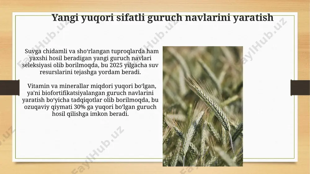 suli seleksiyasining asosiy yo'nalishlari - Page 5