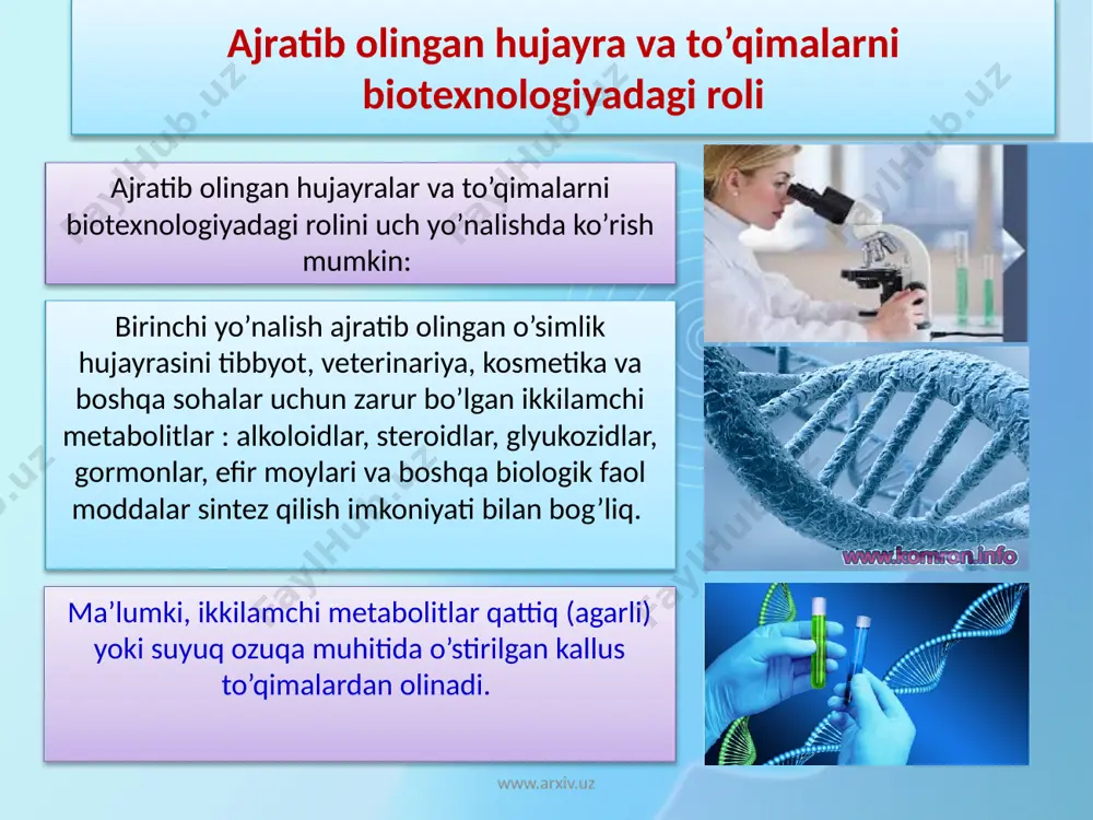 mikroxujayrada gen va hujayra muhandisligini o\\'rganish - Page 5