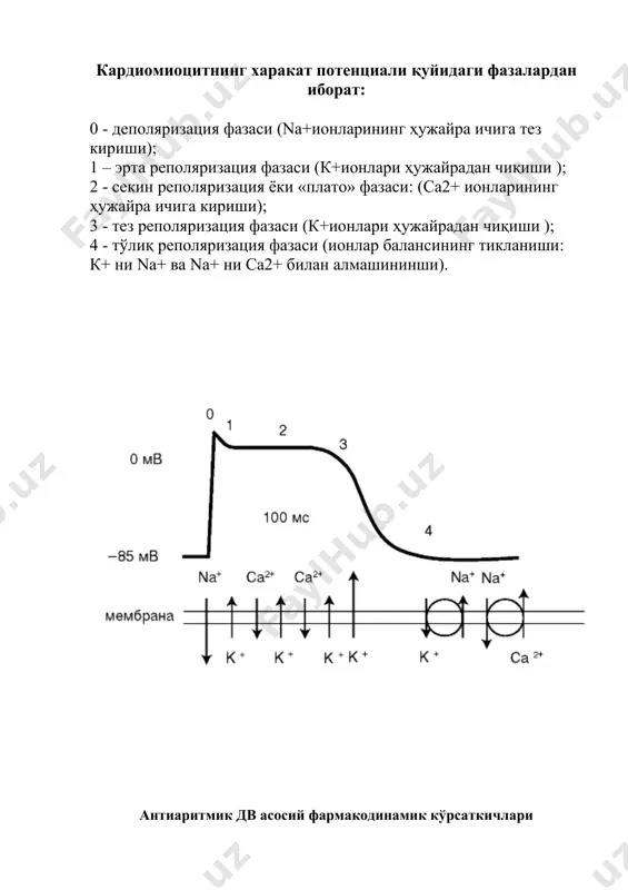 антиаритмик дори воситаларининг таснифи - Page 3