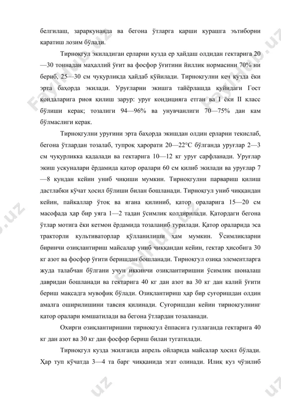ирноқгул суғориладиган типик бўз тупроқларда экилган бўлса, намгарчилик кўп бўлган йилларда ер юзасида қатқалоқ ҳосил бўлиши мумкин. бу эса кўчатлар сонини камайишига олиб келади. қатқалоқни йўқотиш учун айланма мотига, майда мола ва игнали ғалтаклар қўлланилади. бундай тадбирлар ўтказилса ниҳоллар зарарланмайди. июнь ва июль ойларида тирноқгул туплаб кетиши натижасида унинг қатор ораларига ишлов бериш анча қийинлашади ва вегетация давомида жуда кўп кўк масса ҳосил қилади. шунинг учун ҳам у озиқа элементларга жуда талабчан ўсимлик ҳисобланади. шуларни эътиборга олиб, тирноқгулни алмашлаб экиш далаларига жойлаштириш тавсия этилади. мавсум давомида тирноқгул экинзорлари ҳаво ҳарорати ва намгарчиликни ҳисобга олган ҳолда 9—10 марта суғорилади. унумдор ерларга экилган, бегона ўтлардан тозаланган ва куз ойларида қатор ораларига 70—80 кг фосфор ўғити билан озиқлантирилган, чуқур культивация қилинган тирноқгул экинзорларини 2—3 йил сақлаб фойдаланиш мумкин бўлади. бунда қайта экиш талаб этилмайди. ҳар йили тирноқгул уруғи тўкилиши натижасида қишда ва баҳорда ўсиб чиққан кўчатлардан фойдаланиш мумкин. тирноқгулни вегетация даврида яхши парвариш …