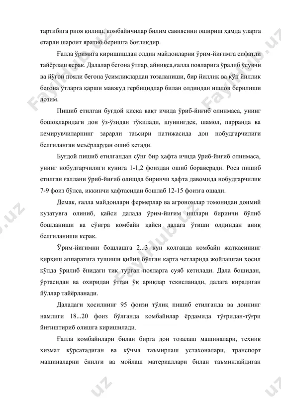 имкониятини ҳисобга олган ҳолда белгиланади. ғаллани йиғиштириб олишнинг ўзига хос хусусиятлари ва усуллари. етиштирилган хосилни юқори сифат билан йиғиб олиш ва ғалла комбайнларидан унумли фойдаланиш ўз навбатида далаларни ўрим-йиғимга тайёрлаш, комбайнларнинг ишчи қисмларини тўғри ростлаш, ўрим-йиғим тартибига риоя қилиш, комбайнчилар билим савиясини ошириш ҳамда уларга етарли шароит яратиб беришга боғлиқдир. ғалла ўримига киришишдан олдин майдонларни ўрим-йиғимга сифатли тайёрлаш керак. далалар бегона ўтлар, айниқса,ғалла пояларига ўралиб ўсувчи ва йўғон пояли бегона ўсимликлардан тозаланиши, бир йиллик ва кўп йиллик бегона ўтларга қарши мавжуд гербицидлар билан олдиндан ишлов берилиши лозим. пишиб етилган буғдой қисқа вақт ичида ўриб-йиғиб олинмаса, унинг бошоқларидаги дон ўз-ўзидан тўкилади, шунингдек, шамол, парранда ва кемирувчиларнинг зарарли таъсири натижасида дон нобудгарчилиги белгиланган меъёрлардан ошиб кетади. буғдой пишиб етилгандан сўнг бир ҳафта ичида ўриб-йиғиб олинмаса, унинг нобудгарчилиги кунига 1-1,2 фоиздан ошиб бораверади. роса пишиб етилган ғаллани ўриб-йиғиб олишда биринчи ҳафта давомида нобудгарчилик 7-9 фоиз бўлса, иккинчи ҳафтасидан бошлаб 12-15 фоизга ошади. демак, …