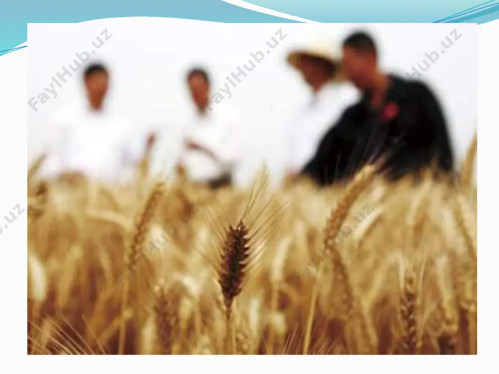 shlab chiqarish hajmini oshirishga, importni qisqartirib yoki to’xtatishga imkon beribgina qolmay, o’zlari eksport qila boshladilar. masalan: aqsh - soya; fransiya – bug’doy va sholi; gfr, fransiya - quruq sut; yaponiya - sholi va hokazo. natijada oxirgi 15-20 yil ichida rivojlangan mamlakatlarni dunyo oziq-ovqat mahsulotlarini eksport qilish bo’yicha salmog’i o’sdi, aksincha rivojlanayotgan malakatlarning salmog’i birmuncha qisqadi. rivojlanayotgan mamlakatlarning ko’piga xos bo’lgan xususiyatlardan biri bo’lgan to’yib ovqat emaslik va ocharchilikning keng tarqalishi faqatgina tabiiy sharoitning noqulayligi sababli yoki yangi maltuschilik tushunchasi, aholini «yuqori» tabiiy o’sishi bilan bog’liq emas. balki, hozirgi zamon texnika tarraqqiyotining sustligi qishloq xo’jaligining joylashishiga bog’liqdir. bundan tashqari rivojlanayotgan mamlakatlarning umumiy iqtisodiy qoloqlik darajasi mahalliy noqulay tabiiy sharoitlarni yaxshilash imkoniyatlarini bermayapti natijada ishlab chiqarishni rivojlantirishga imkoniyat yaratilmayapti. qoloqlikning asosiy ildizi o’tmishda bu mamlakatlarning rivojlangan mamlakatlarga qaram qilish va hozirda ham ularni xom ashyo yetkazib beruvchi bo’lib qolishiga intilishi bilan bog’langandir. jahon yer fondi dunyo yer fondining tahlili 11-jadvalda berilgan. jadvalda …