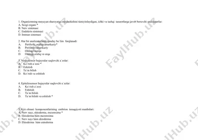 nerv nayı va kóz olmasi taraqqiyoti — DOCX