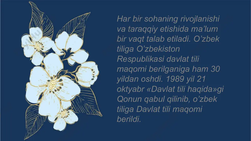 o'zbek tiling taraqqiyot bosqichlari - Page 3
