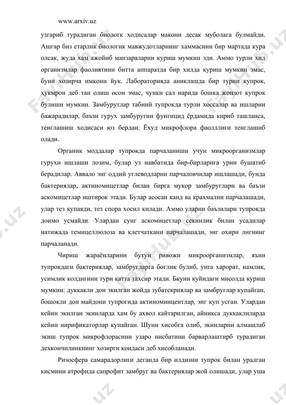 икарган чуюкликдан бахраманд булишади. бактериялар ризосферадаги турли моддалар, жумладан аммино-кислоталардан файдаланилади, илдиз химоя функциясини утайди, масалан патоген микробларидан саклайди. ризосфера содда фауналар учун яшаш макони, бахзи нехматдошлар яшаш жойи, шунингдек ширалар ва бошка жонзотлар яшайди. 2. агроценозлар микрофаунасига тавсиф. содда хайвонлар микрофаунасига майда умрткасиз хайвонлар киради, улар тупроуни майда комплярида яшайди, чунки улар узларига юриш йулини казий олмайдилар. экинзорлар учун тупрокда содда хайвонлар нехматдошлар, шира ва замбруглардагн камлик килади. 1 г. тупрокла 1000 донадан 103 минг донагача содда хайвонлар бор, утлок тупрокда 1 гектар ерда 300-400 кг-гача булади. сода хайвонларга жгутиклар, амёбалар, киприкли инфузориялар кириб, убаларни хаммаси жуда майда жинслардир. тупрок хивчиниларни катталиги 2-4 ммк, ялангоч амёбалар 8-20 ммк, раковин амёбалар ва инфузориялар — 20-65 ммк дан иборатдир. хайдаладиган тупрокда катта хажмдаги амёбалар, учрайди, масалан жгутиклар сувда эриган озука моддаларини суриб олади. яъни диффузия йули билан баъзилари бактериялар билар озиуланади. амёбалар бактерия, сув утлари, жгутиклар, илдизоёкликлар, чувалчанг билан озикланадилар. тупрокда …