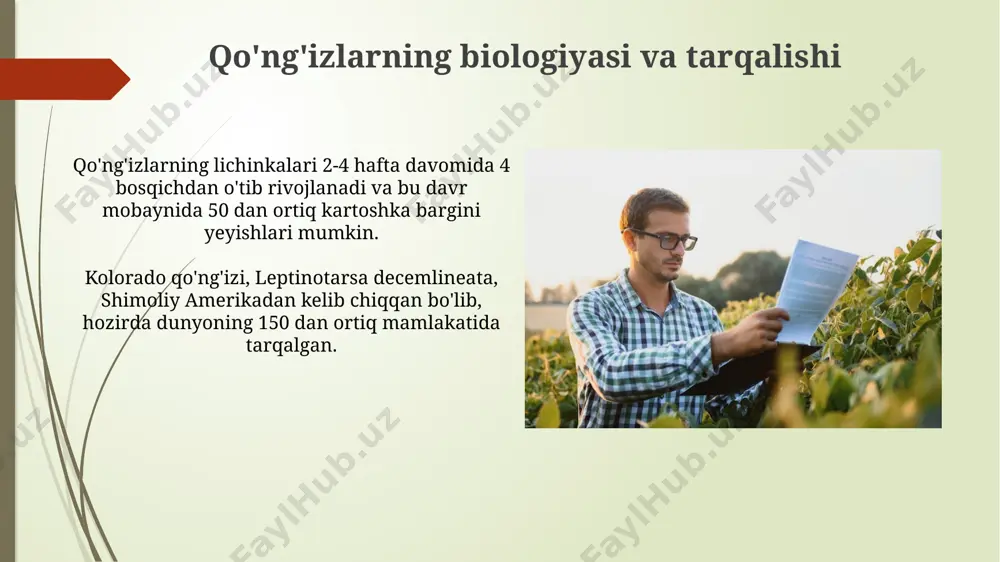 5 so'mgacha kamaytirish imkonini beradi, bu esa umumiy iqtisodiy samaradorlikni oshiradi. kimyoviy himoya vositalarining turlari 2,4-d kabi selektiv gerbitsidlar, o'simliklarga zarar yetkazmasdan, kartoshka qo'ng'izlarining lichinkalariga ta'sir qiladi va ba'zi mintaqalarda, masalan, janubiy amerikada qo'llaniladi. organik fosforli birikmalar, masalan, diazinon va malation kabi insektitsidlar, 1960-yillardan buyon qo'shma shtatlarda kartoshka qo'ng'izlariga qarshi samarali qo'llanilgan. selektivlik va ekologik xavfsizlik экологик хавфсизлик нуқтаи назаридан, биопестицидлар, масалан, bacillus thuringiensis (bt) 10-15 кун ичида табиий равишда парчаланади, бу эса европанинг кўплаб минтақаларида уларни бехатар қилади. айрим инсектицидларнинг селективлиги паст бўлиб, фойдали ҳашоротлар популяциясига ҳам, масалан, ер ости ҳашоротларининг 20% гачасига салбий таъсир кўрсатиши мумкин, бу эса ўсимликнинг умумий ҳосилдорлигига таъсир қилади. e'tiboringiz uchun rahmat @taqdimot_robot image1.jpg image2.jpg image3.jpg image4.jpg image5.jpg image6.jpg image7.jpg image8.jpg image9.jpg image10.jpg image11.jpg