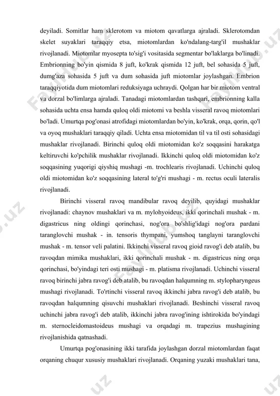 iotomidan ko'z soqqasining lateral to'g'ri mushagi - m. rectus oculi lateralis rivojlanadi. birinchi visseral ravoq mandibular ravoq deyilib, quyidagi mushaklar rivojlanadi: chaynov mushaklari va m. mylohyoideus, ikki qorinchali mushak - m. digastricus ning oldingi qorinchasi, nog'ora bo'shlig'idagi nog'ora pardani taranglovchi mushak - in. tensoris thympani, yumshoq tanglayni taranglovchi mushak - m. tensor veli palatini. ikkinchi visseral ravoq gioid ravog'i deb atalib, bu ravoqdan mimika mushaklari, ikki qorinchali mushak - m. digastricus ning orqa qorinchasi, bo'yindagi teri osti mushagi - m. platisma rivojlanadi. uchinchi visseral ravoq birinchi jabra ravog'i deb atalib, bu ravoqdan halqumning m. stylopharyngeus mushagi rivojlanadi. to'rtinchi visseral ravoq ikkinchi jabra ravog'i deb atalib, bu ravoqdan halqumning qisuvchi mushaklari rivojlanadi. beshinchi visseral ravoq uchinchi jabra ravog'i deb atalib, ikkinchi jabra ravog'ining ishtirokida bo'yindagi m. sternocleidomastoideus mushagi va orqadagi m. trapezius mushagining rivojlanishida qatnashadi. umurtqa pog'onasining ikki tarafida joylashgan dorzal miotomlardan faqat orqaning chuqur xususiy mushaklari rivojlanadi. orqaning yuzaki mushaklari …
