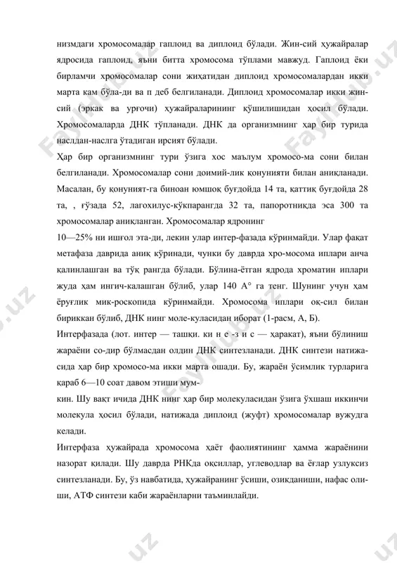 тинга ўхшаш мембрана бўлмайди. ядрочалар ди-аметри 1—3 мкм. бўлган бир ёки бир нечта юмалоқ, эл-липссимон, узунчоқ шаклда бўлиши мумкин. ядроча ўзининг физик ва кимёвий хусусияти ҳамда солиштирма оғирлигининг кўплиги билан ядродан фарқ қилади. электрон микроскоп ёрдамида текширилганда унинг моддаси субмикроскопик ипчалардан иборат бўлиб, нуклеолонема деб аталади. улар ядронинг асосий таркибий қисми бўлиб, хромосомаларнинг шакллани-шида, оқсилларни ва рнк ни синтез қилишда иштирок этади. нуклеоплазма ёки матрикс — ўта шаффоф суюқ мод-да. унинг таркибида бир неча ферментлар; (оқсиллар) и-рнк, р-рнк ва анорганик элементлар (са, м§, ғе) тўпла-нади. матрикс тешикчалари орқали модда алмашинуви жараёни содир бўлади. ядронинг таркибий қисми бўлмиш хроматин ва ядроча нукдеоплазмада жойлашади. ядро қобиғи ёки кариотека субмикроскопик қалинликда (40—60 нм) бўлиб, ядрони цитоплазмадан ажратиб турув-чи юпқа қаватдир. ядро қобиғининг тузилиши ва бажара-диган вазифасини 1925 йили чемберс аниқлаган. у мус-таҳкам эгилувчан ва қайишқоқ бўлиб, ўтказувчанлик ху-сусиятига эга. ёруғлиқ микроскопида у жуда юпқа (каталак) шаклида эканлиги, электрон микроскопда эса ташқи ҳамда ички …