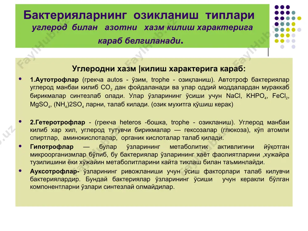 bakteriyalar fiziologiyasi - Page 4
