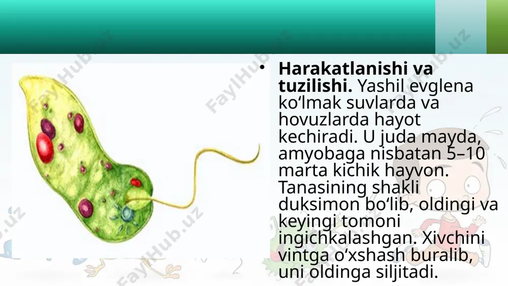 xivchinlilar sinfi - Page 3