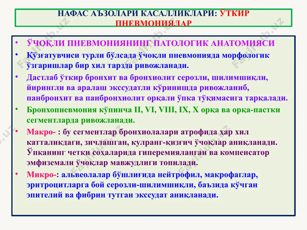 б, қисқа вақт ичида сурункали диффуз бронхитга айланади. макро-: бронхлар девори қалинлашган, деформацияланган, бўшлиғида шилимшиқли, йирингли тиқин аниқланади, бронхлар кесим юзасидан бўртиб чиққан кўринишда, атрофида бириктирувчи тўқима тутамлари пайдо бўлган. микро-: шиллиқ пардаси атрофияланган, безлари кисталарга айланган, қопловчи призматик эпителийси кўп қаватли ясси эпителийга метаплазияланган. баъзида полиплар пайдо бўлади. 1 – бронхлар девори қалинлашиб, деформацияланган. 2 – бириктирувчи тўқима ўсган. 1 – бронх бўшлиғида некротик лейкоцитар масса тўпланган. 2 – бронх девори диффуз ҳолда яллиғланган. 3 – бириктирувчи тўқима ўсган. сурункали бронхит 1 1 2 1 2 3 бронхоэктазиялар бронхоэктазиялар – бронхларнинг цилиндр ва халтасимон кенгайиши. туғма ва орттирилган кўринишларда учрайди. туғмаси бронхлар дарахти ривожланиши бузилганда кузатилади. орттирилгани: бронхитоген ва пневмониоген келиб чиқади. макро-: ўпканинг кесимида бронхлар ҳар хил катталикда кенгайган, деформацияланган, атрофида бириктирувчи тўқима ўсган. микро-: шиллиқ пардаси атрофияланган, қопловчи призматик эпителийси кўп қаватли ясси эпителийга метаплазияланган. бронхоэктатик касаллик, бу – бронхоэктазияларда йиринг тўпланиши, ички аъзоларда амилоидоз ривожланиши, оёқ …