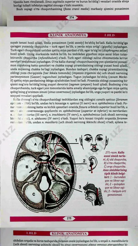 kalla chanog'i suyagining ichki asosi - Page 2